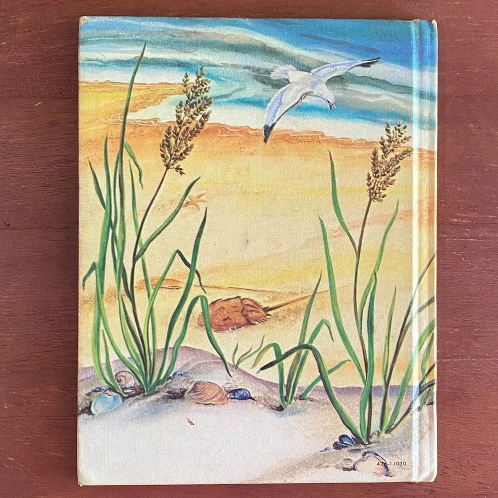 This Home For Me Hardcover Solveig P. Russell